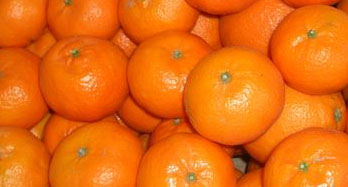 Tangerines Clementinas 12 Kg