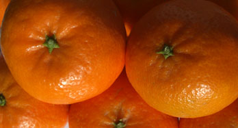 Tangerines Hernandina 15 Kg