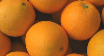 Oranges Navelina 15 Kg
