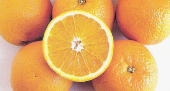 Oranges Valencia 15Kg